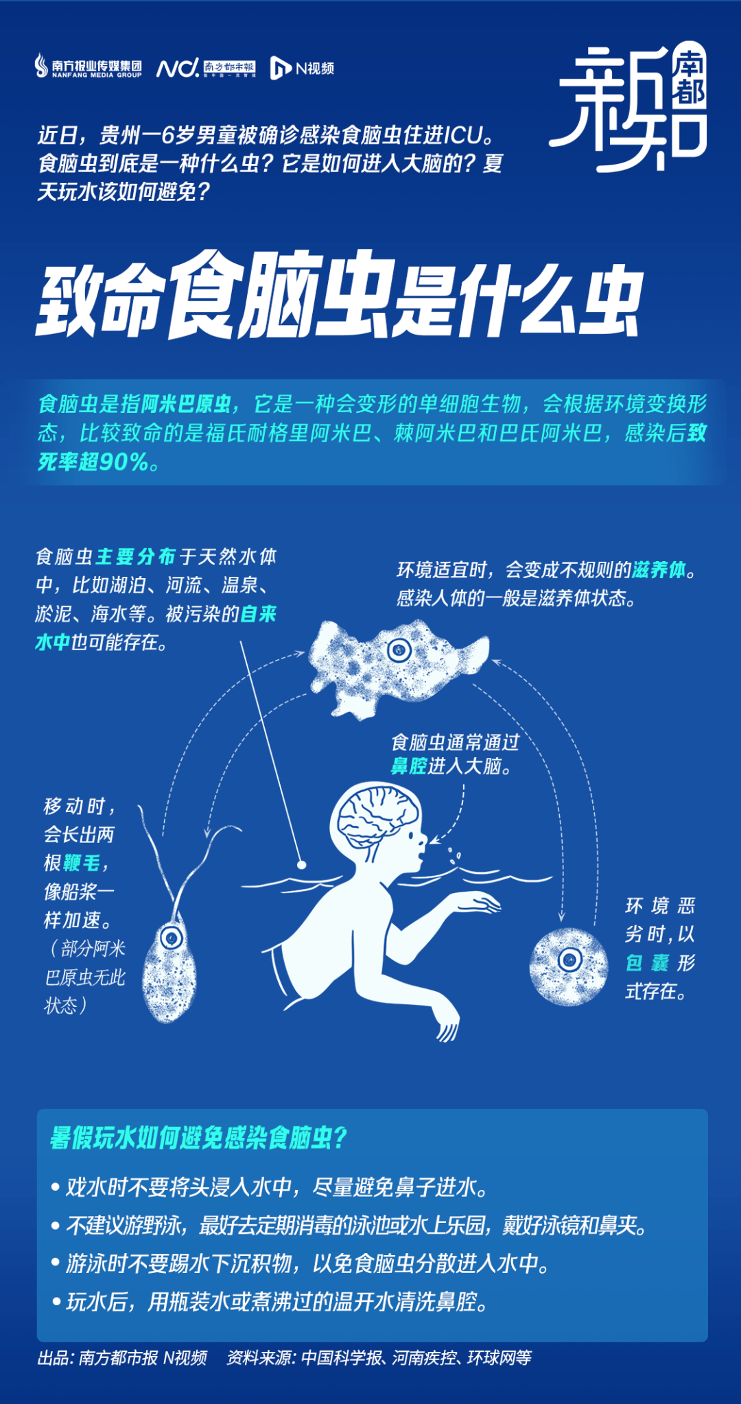 男童海边游泳后感染"食脑虫",如何预防?_阿米巴_原虫_狒狒