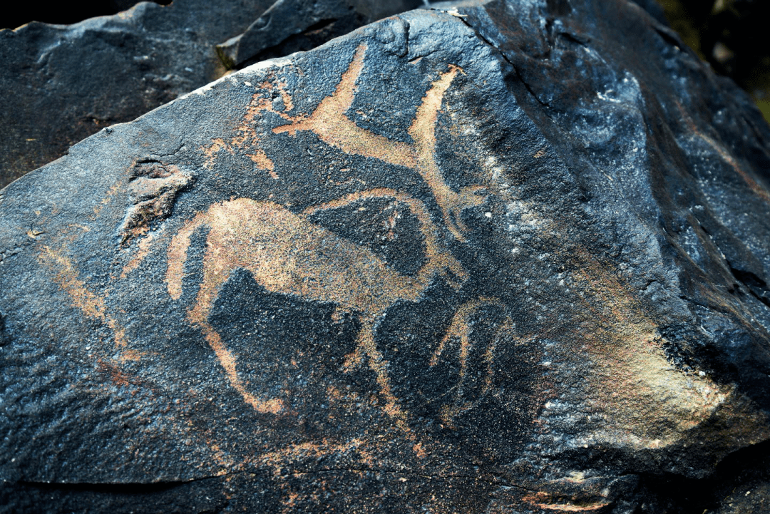 阴山岩画沿途特色景区前往巴彦淖尔市的阴山岩画,这些岩画真实地记录