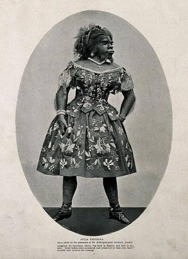 泰国畸形秀 来自搜狐网