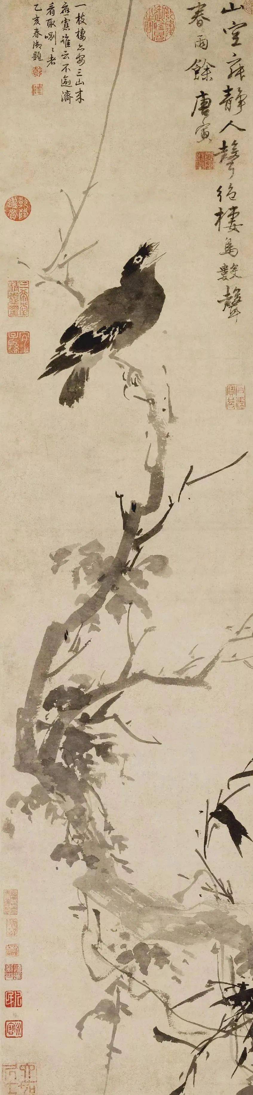 唐伯虎画花鸟，太罕见_搜狐网