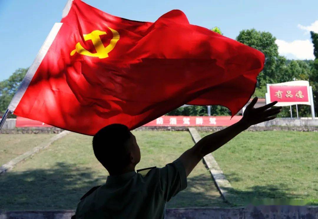 与党旗同框,每一张都是深情告白_战略_部队_李华伟