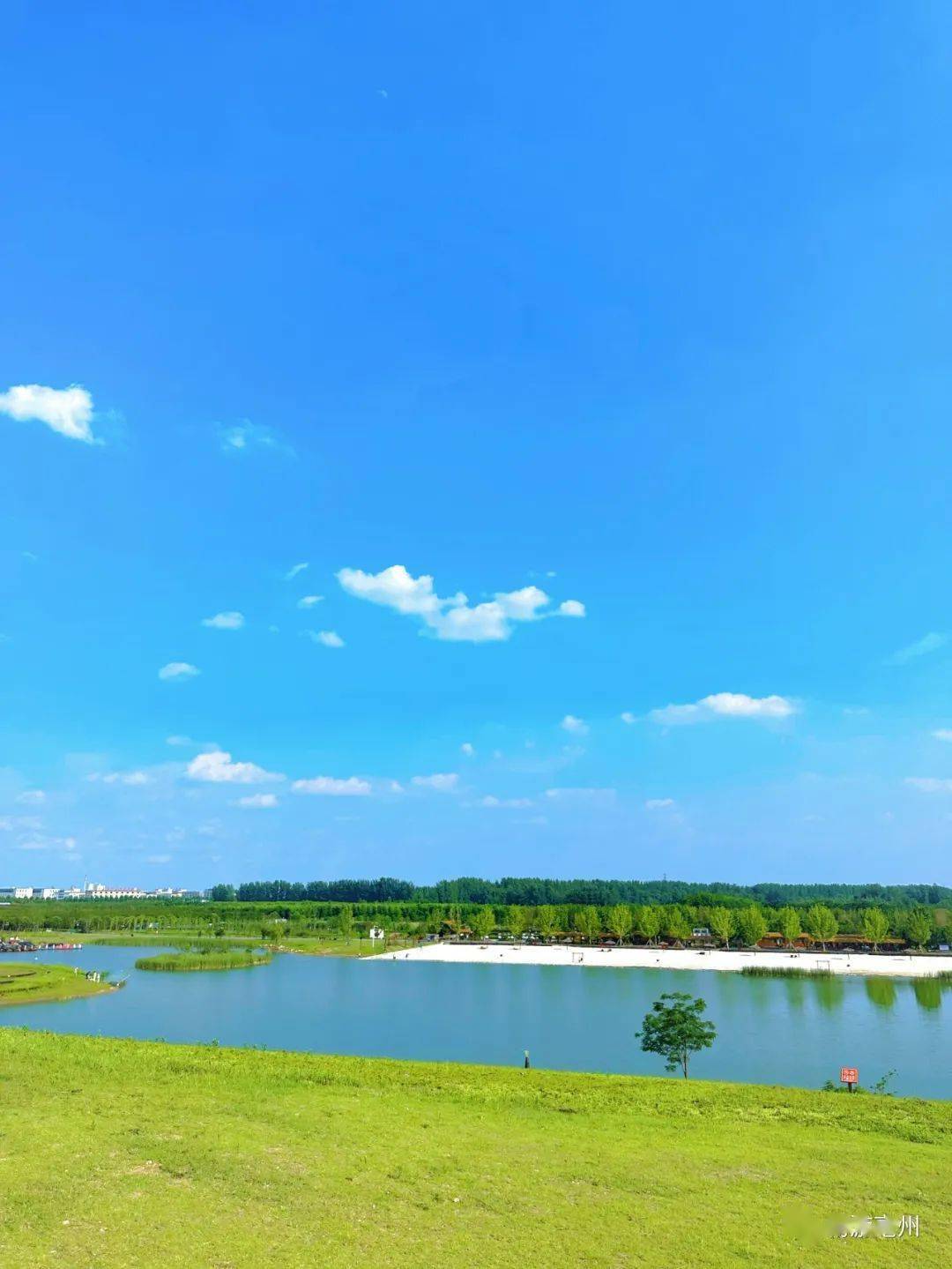 亳州限定版"只此青绿",把家乡美景捧在手心~_陈海红_绿色_林拥城