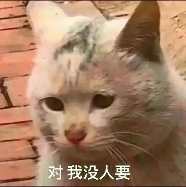 表情包|我知道你很急，但你先别急