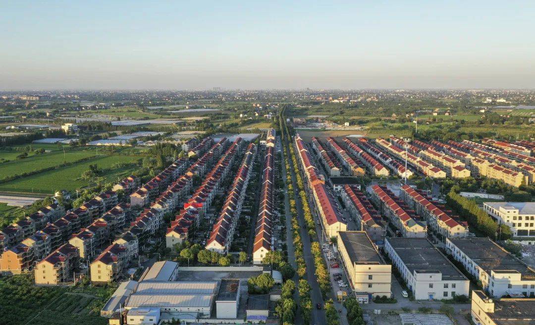 《浙里共富》点赞嘉善县缪家村打造共富最小单元_建设_土地_流转