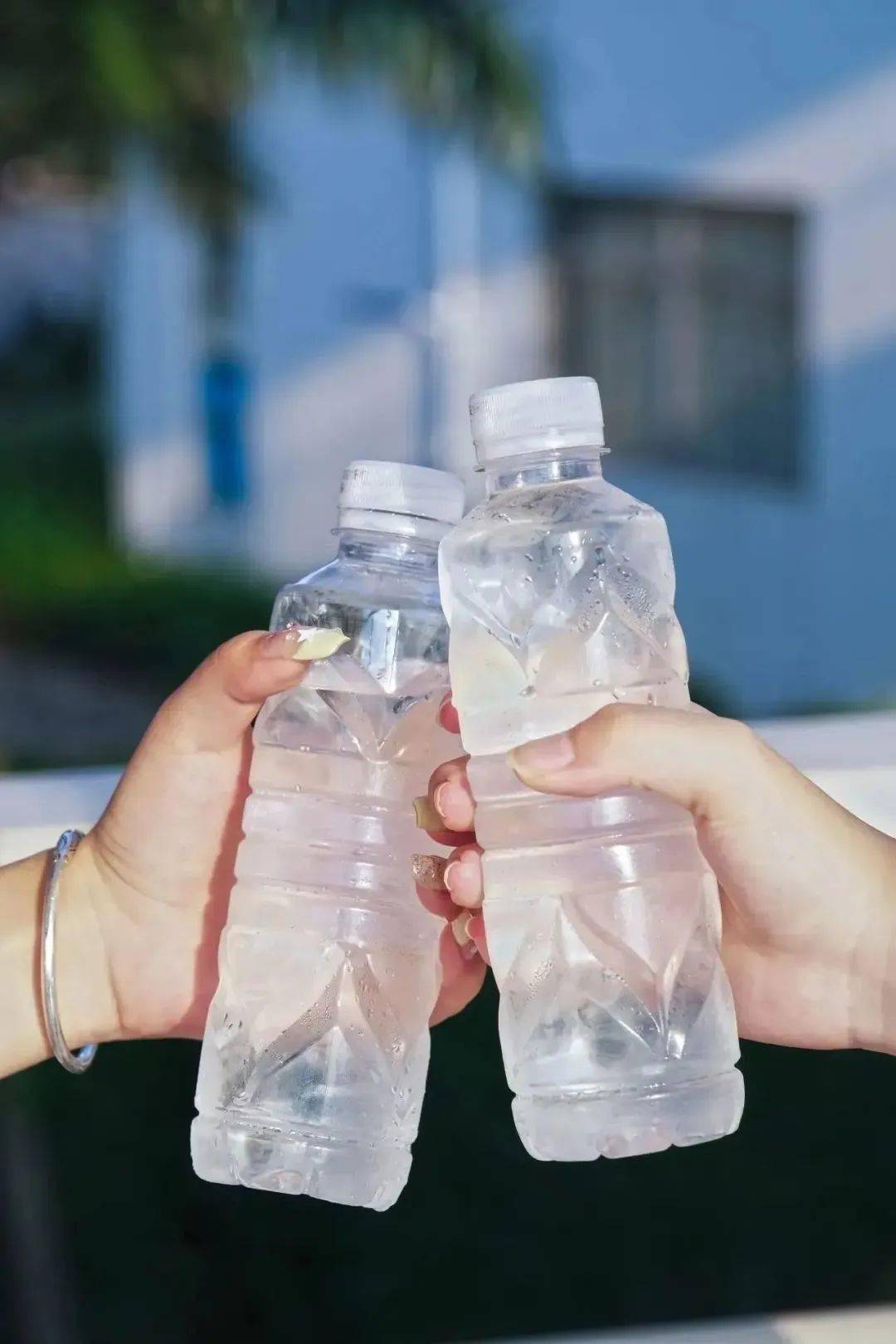 海大的夏天_谢美琪_夏日_田卓莹