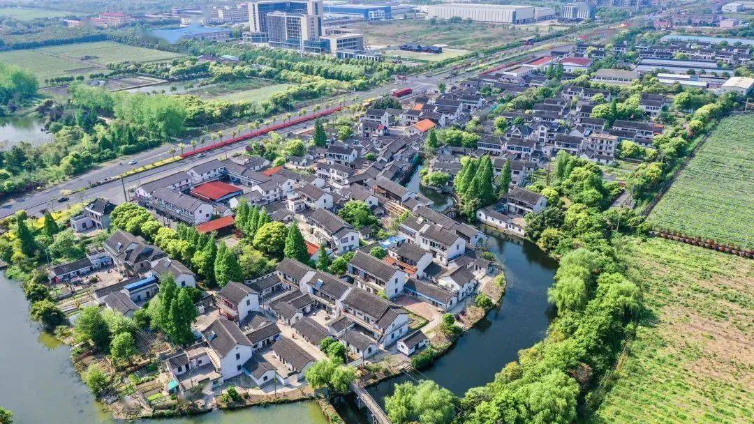 来千灯,逛市集_生活_麻雀_千灯镇