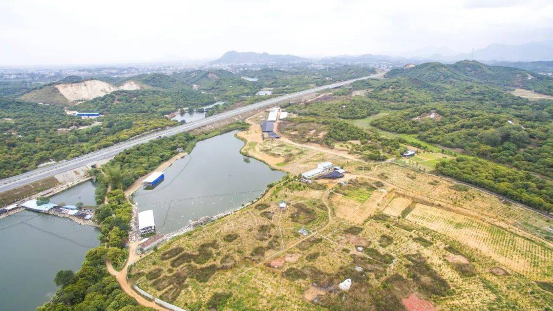 电白林头黄阳乡村旅游项目来了_建设_茂名市_林头镇