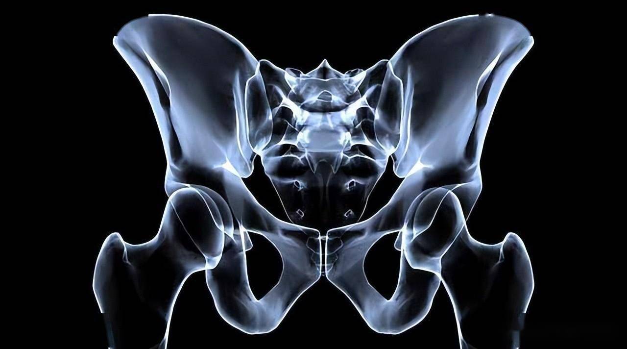 裆部很脆弱,撞到会很疼,男女谁更疼?_男生_身体_神经