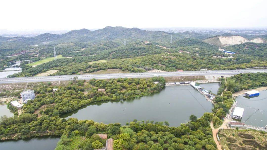 电白林头黄阳乡村旅游项目来了_建设_茂名市_林头镇