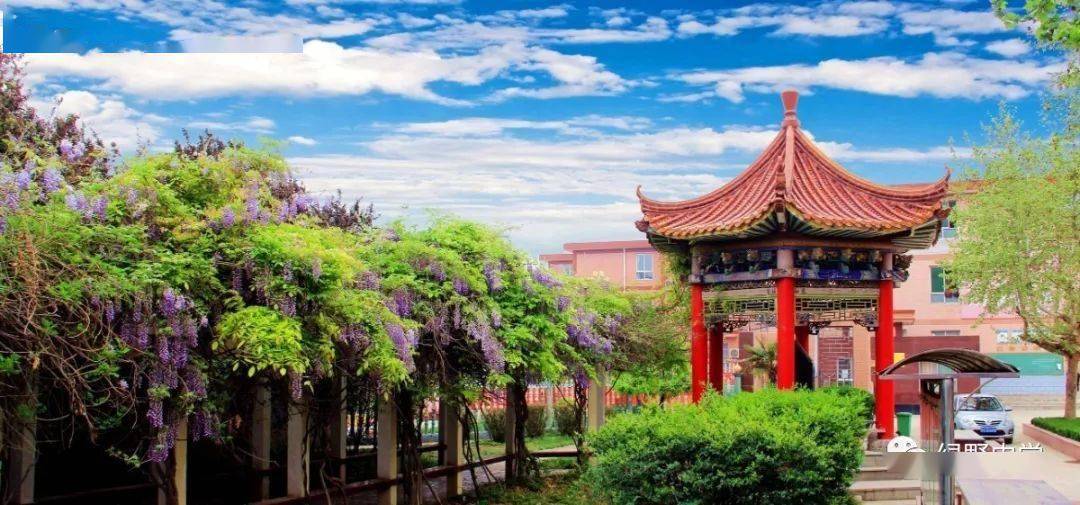 喜报:武功县绿野中学2023年高考再创佳绩!