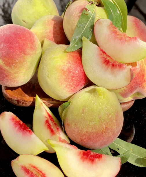 武平_桃子_禄村