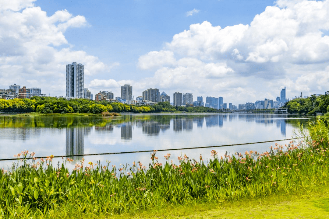 这就是你所期待的快来一起看看瞬间美成一幅"漫画"搭配着青秀城市风景