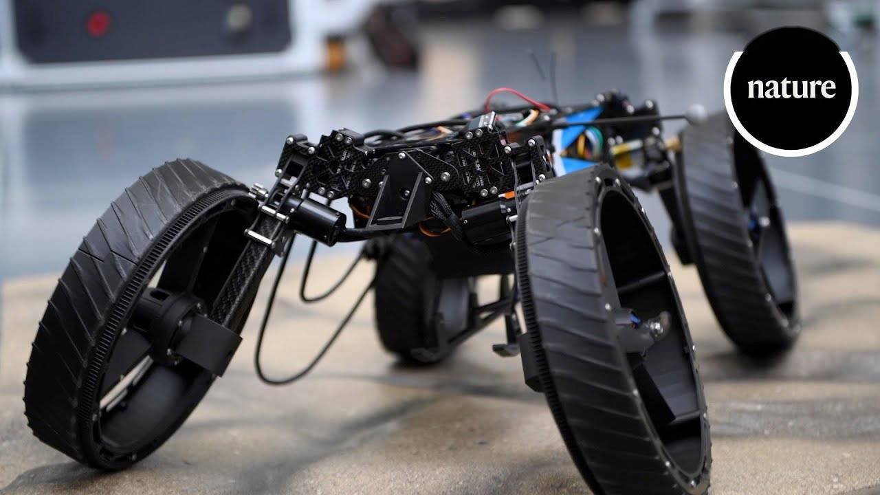 科学家打造全能M4机器人 非首台支持多种运动模式的机器人
