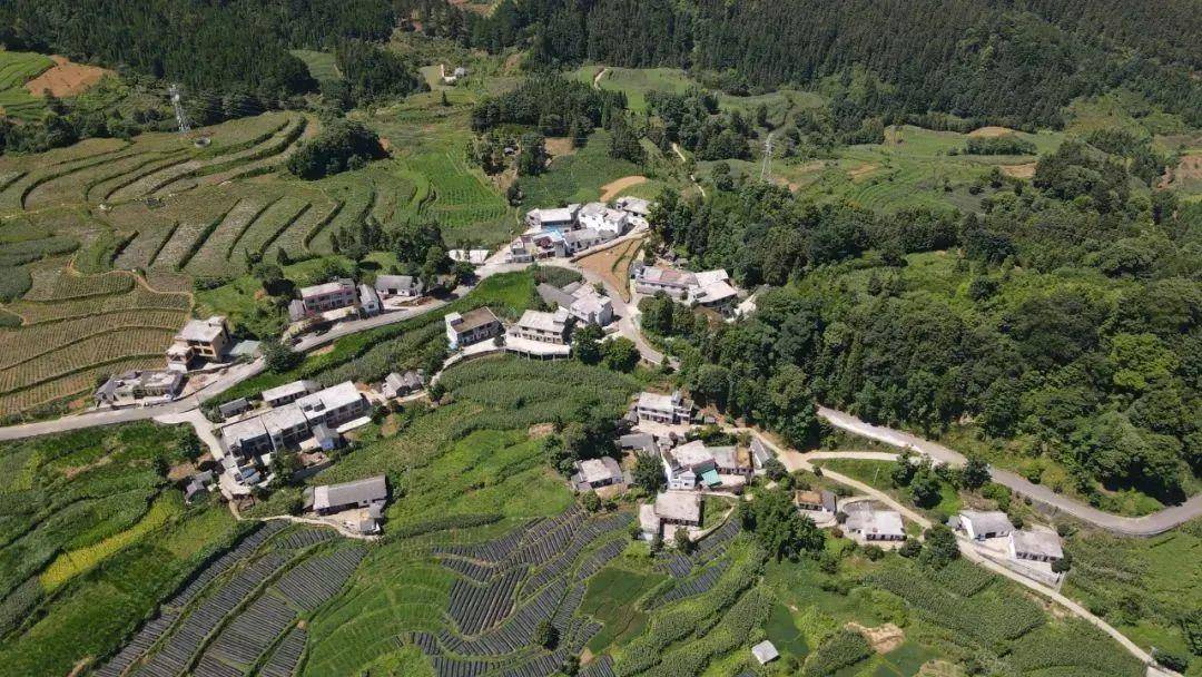 晴隆县沙子镇:出实招建美丽乡村_建设_环境_社区