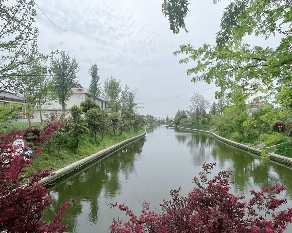 泰州姜堰罗塘街道:凝聚河长微力量 推进水质大提升