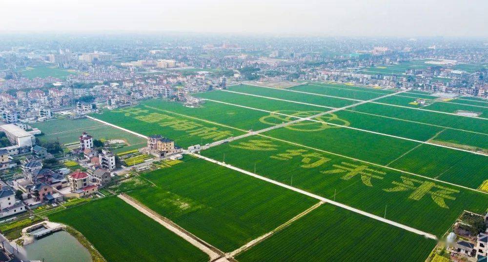 瓜沥镇梅林村图片