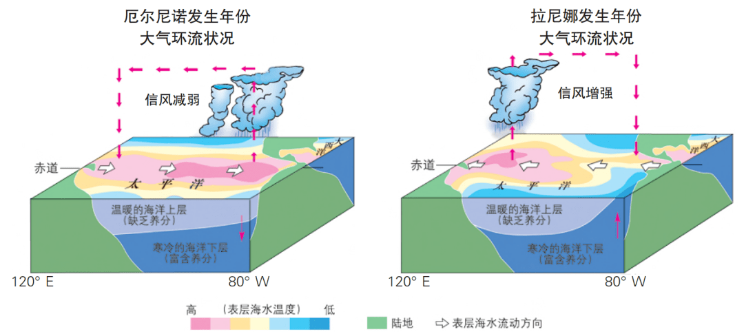 的海水温度异常例如,1999年发生的拉尼娜现象,导致印度尼西亚降雨剧增