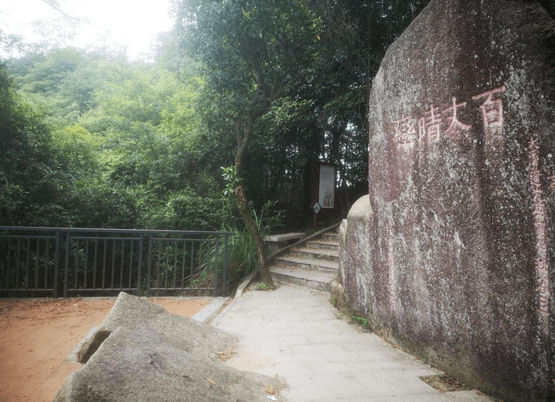 河阳花县图片