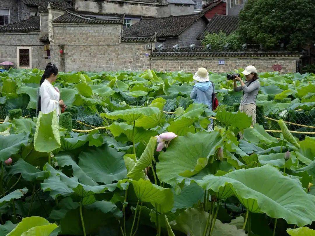 乾州古城胡家塘简介图片