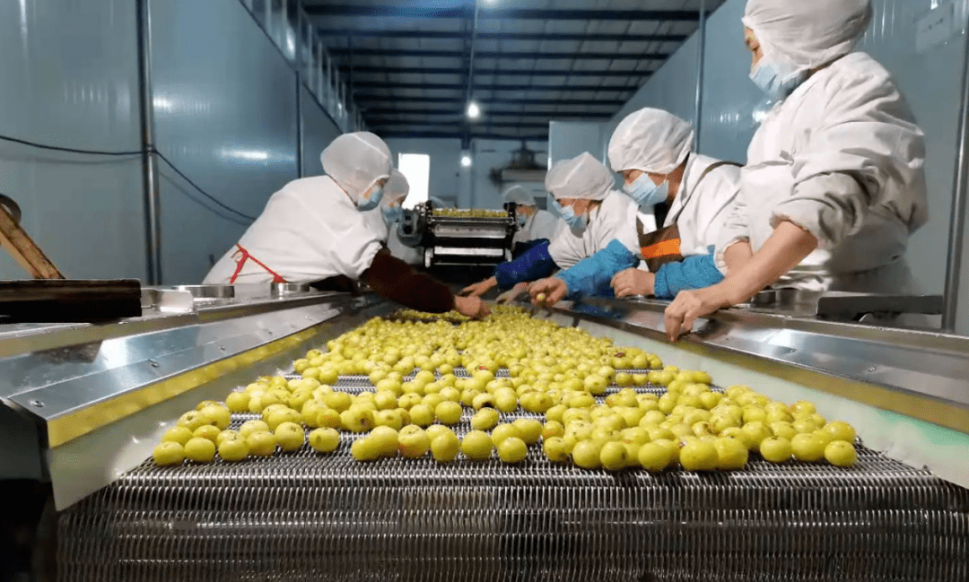 图源网络7月4日,广东揭阳市揭西县凤江镇桔香园凉果厂发生一起中毒