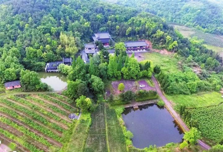 晚潮|蝶变的"宣平老实"是明招文化新生力量_武义_潘漠华_县志