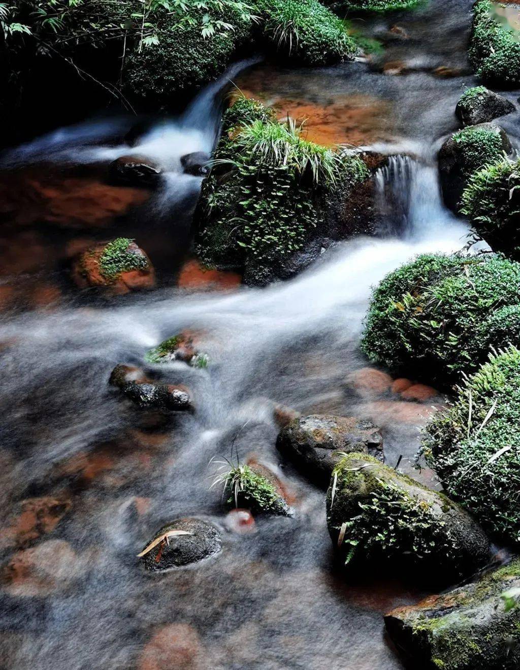 长寿之乡重庆江津: 今夏好去处,有山有水,风景绝美!_避暑_景区_森林