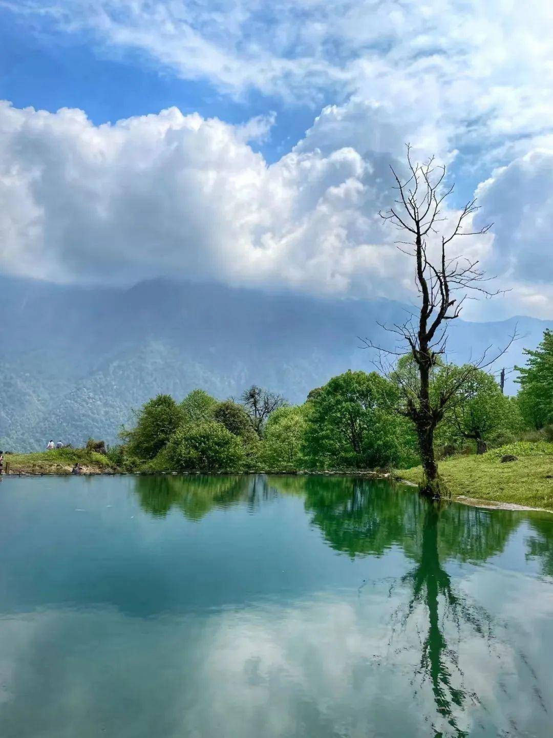 乐山周边吸氧避暑地新鲜出炉,给你25℃的夏天!_景区_黑竹_佛像