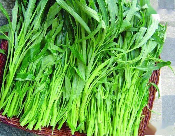 广西家常菜里少不了一道它——空心菜梗酸!广西人餐桌上的c位!