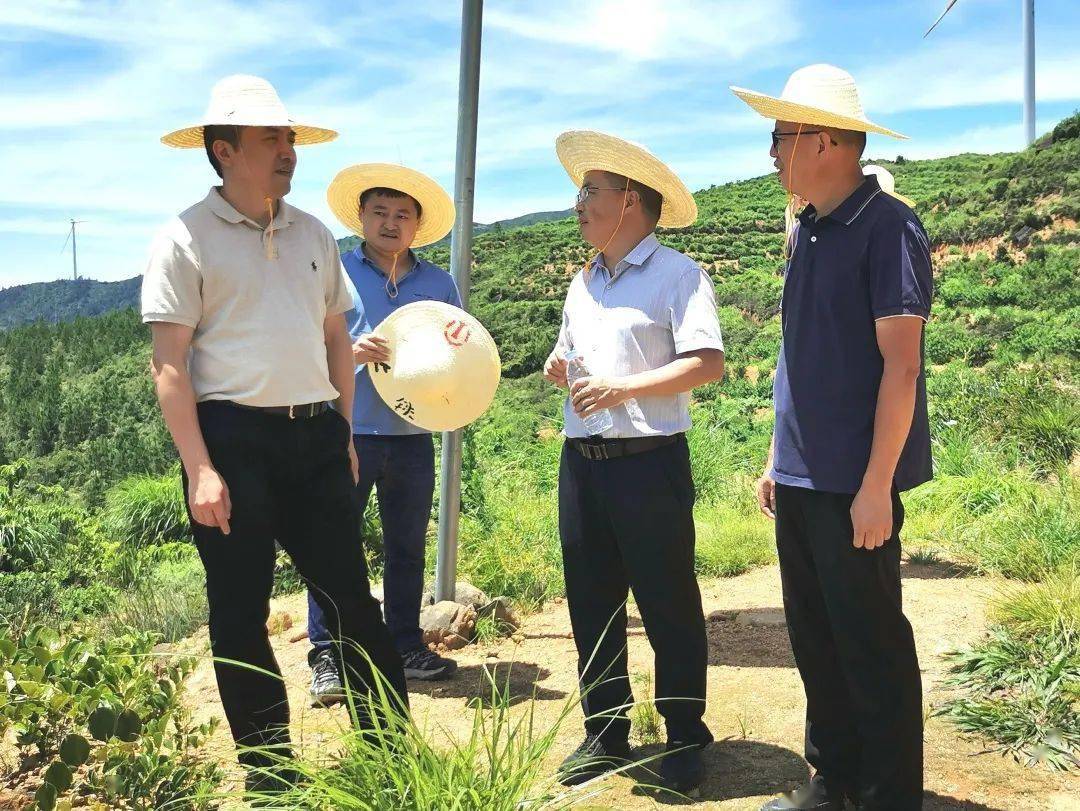 敢为争先,实干争效"行动,7月6日上午,南安市委副书记林添盛带队到翔云