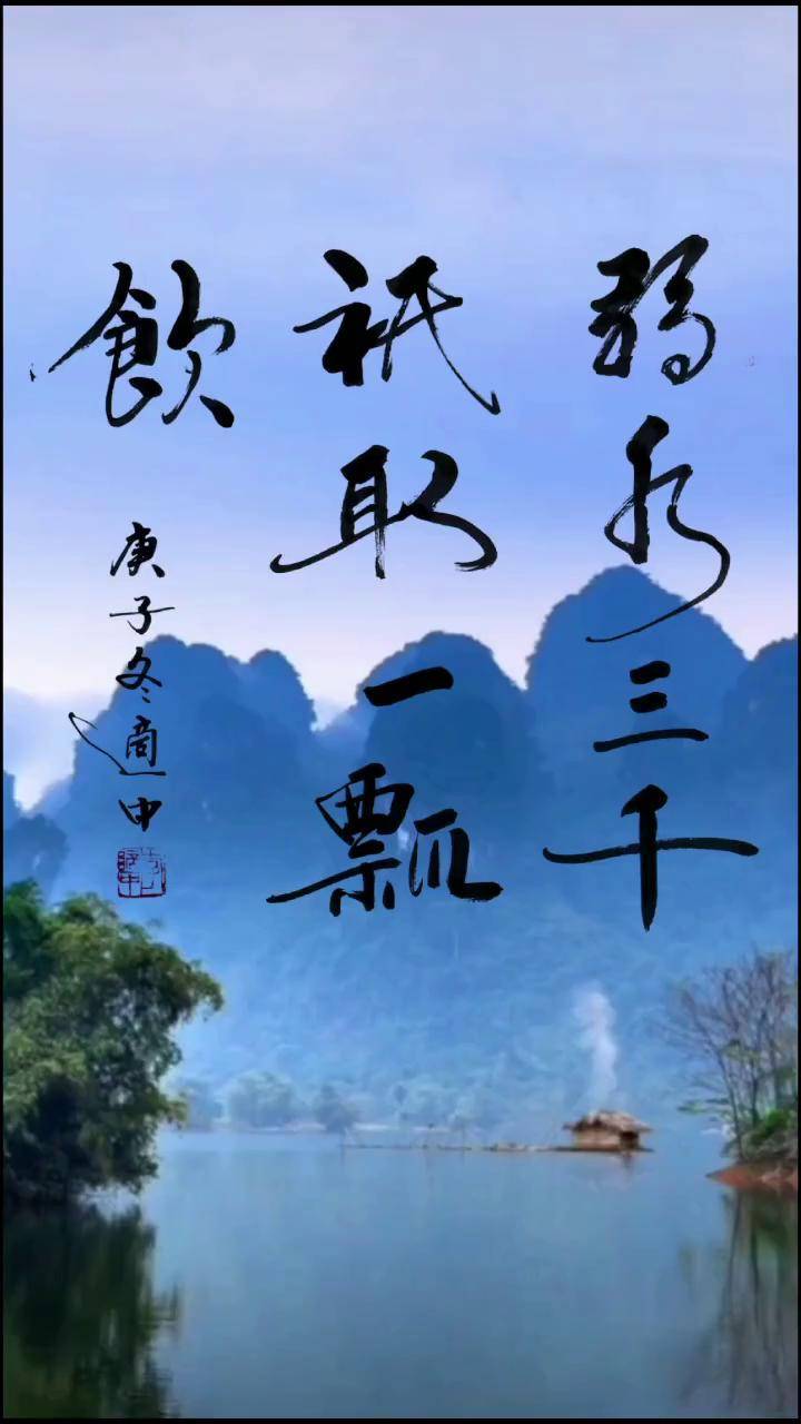 弱水三千,只取一瓢饮.书法
