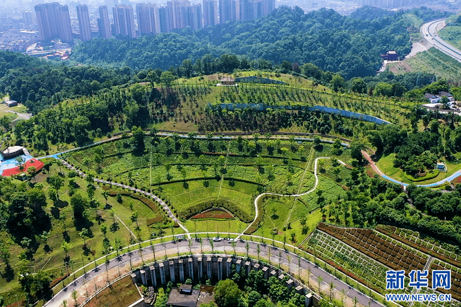 安源区:"江南煤都"展新颜 矿山修复赋能绿色发展_青山村_花海_景区