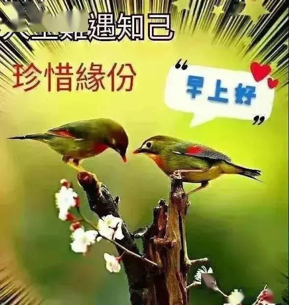 7月9日 最新早安祝福语短句精选,问声早上好,事事都如意!