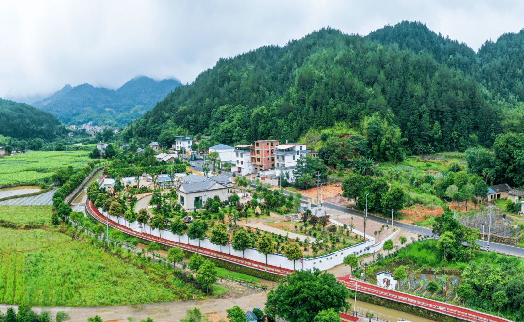 美翻了我的村 | 福建省武平县园丁村:十里花廊 和美园丁_文明村_活动_乡村