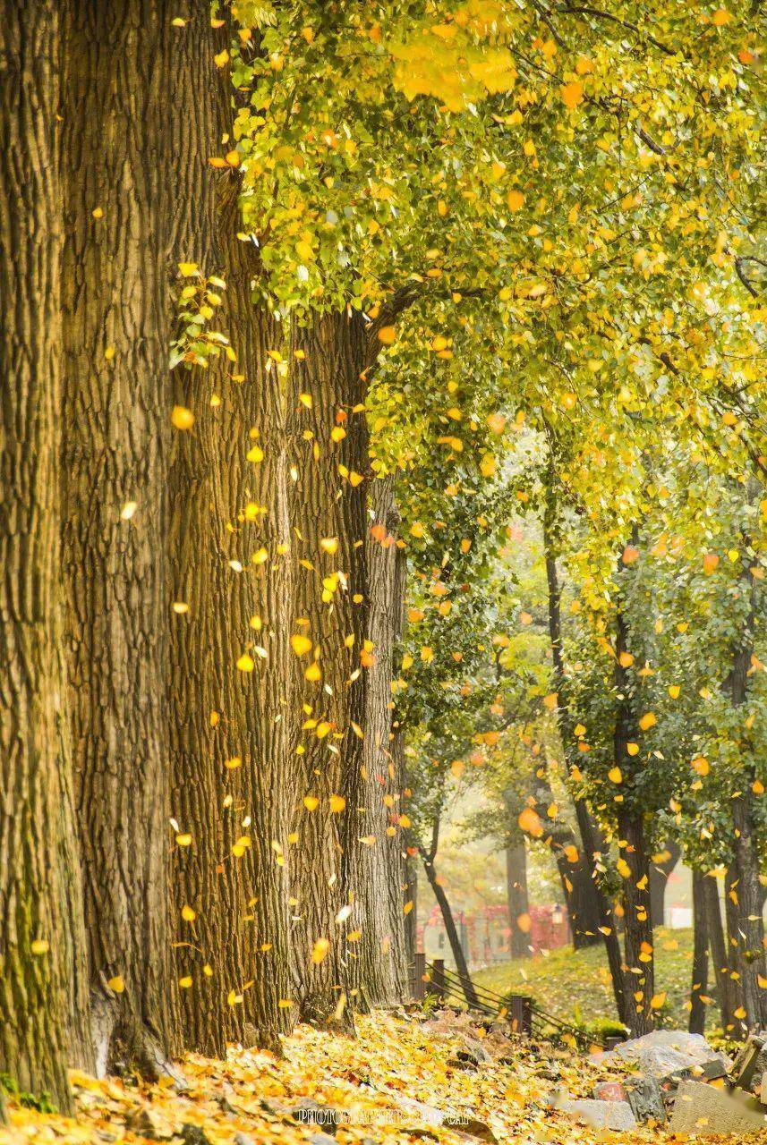 9-10月,初秋的北京