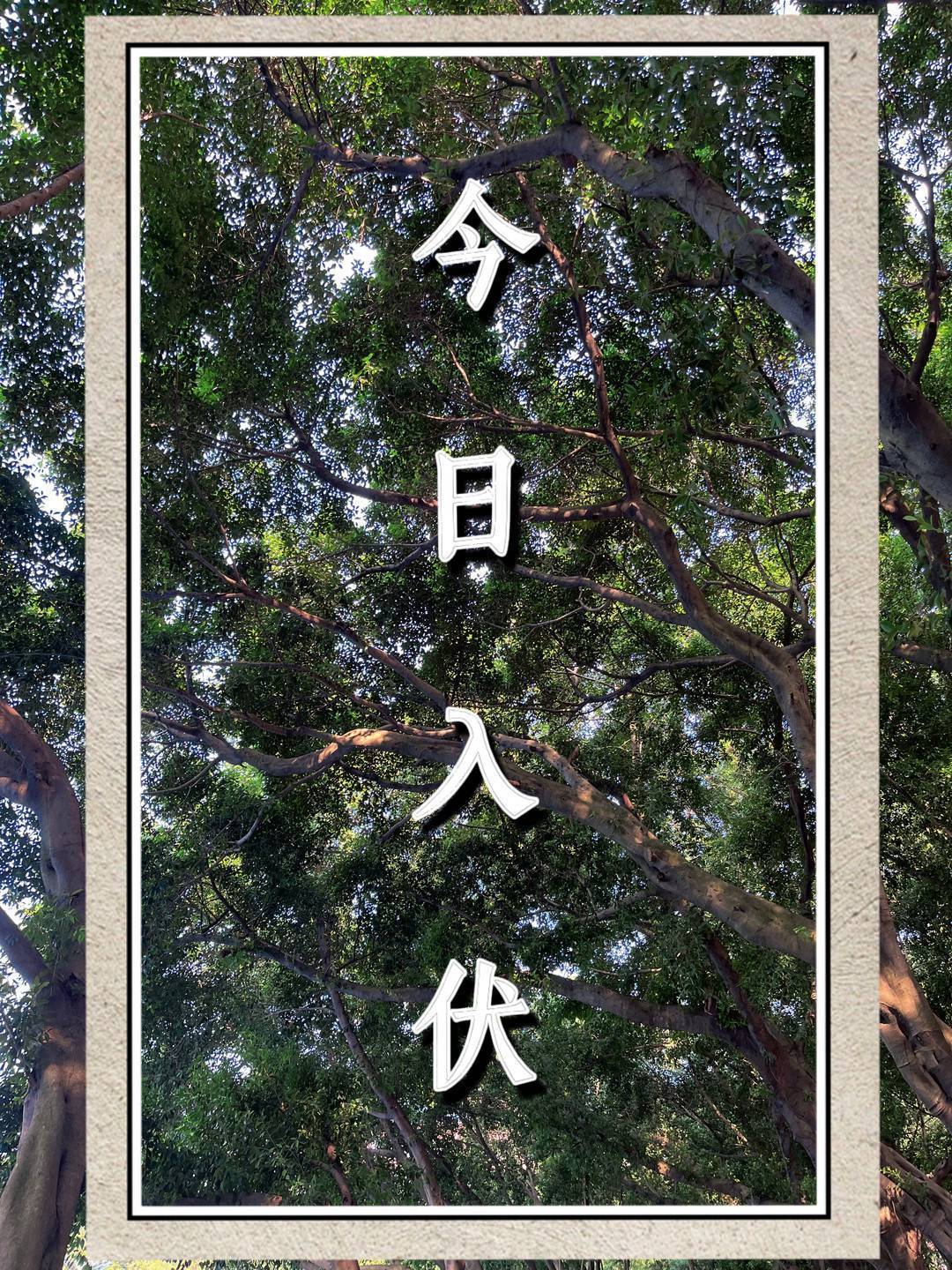 今日入伏,老年人如何科学防暑?_高温_温度_损伤