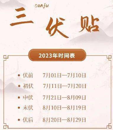 那也就是贴"三伏贴"的时候了