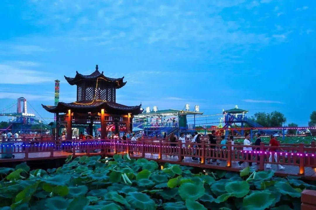 安徽阜南:炎炎夏日 我在枫柏岗等你_景区_养生_地城镇