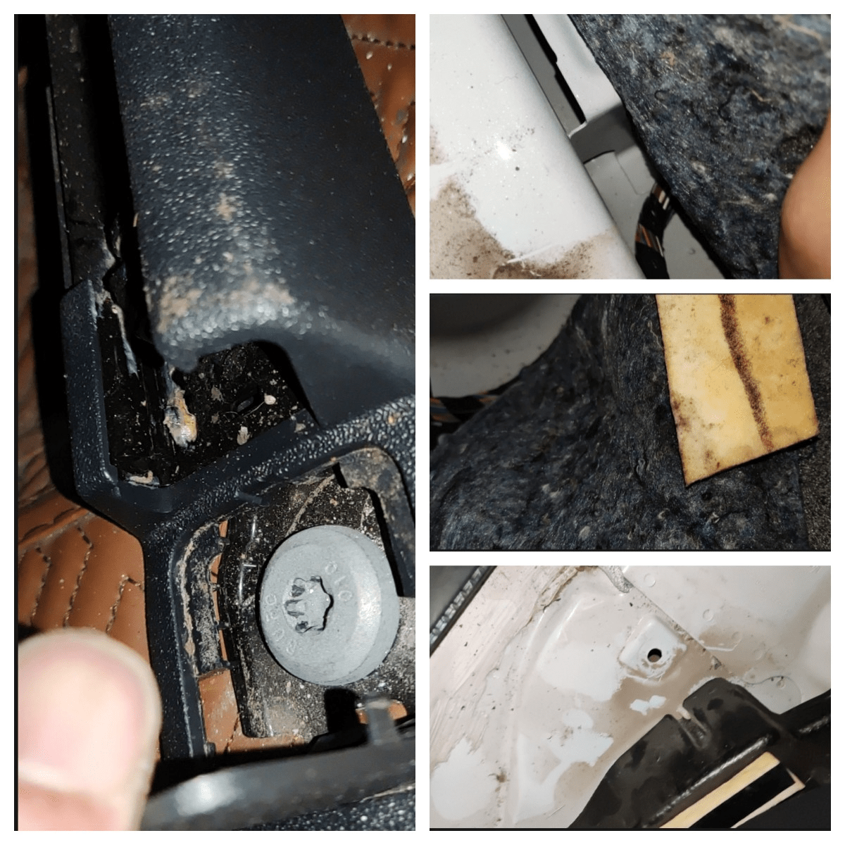 12万在某瓜买辆蒙迪欧，修理厂说是事故车，粉丝二次检测求真相！