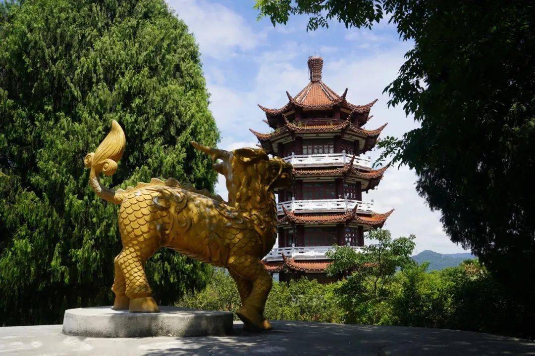 三明麒麟山公园将于国庆节正式开放!新增…_娱乐_改造_自然