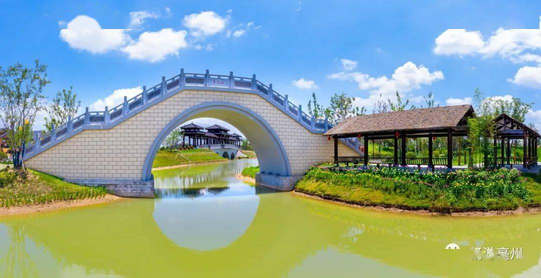 华佗百草园以这种方式又登《安徽日报》_文化_文旅_景区