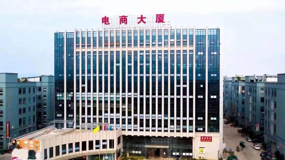 助力"三个一号工程"丨苍南县钱库镇人大:抢抓机遇,助力数字经济跑出"