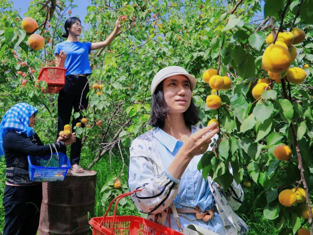 游客在宁远堡镇山湾村金龙湾农场休闲园打卡,尽享田园之乐.