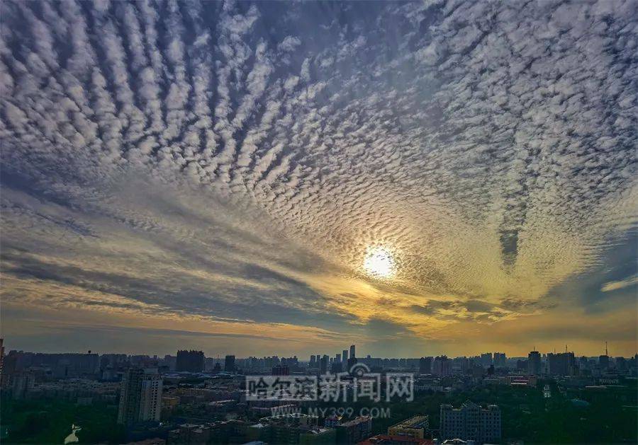 14日白天至15日白天｜哈市发布暴雨提醒！避险指南→ 降雨 市气象局 天气