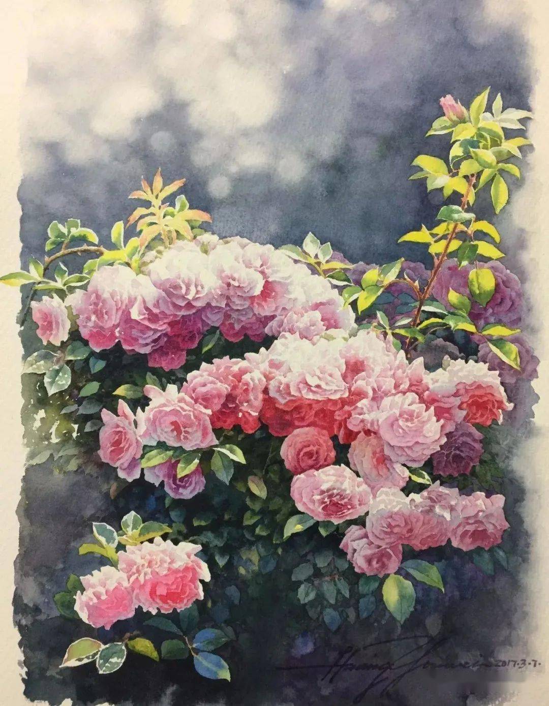 黄有维先生水彩花卉欣赏_生活_画面_作品