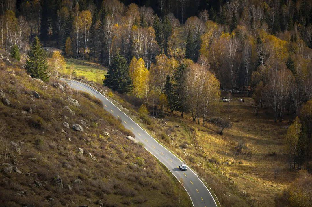 这条新疆夏季最美公路,沿途花开成海!_伊昭_草原_夏塔