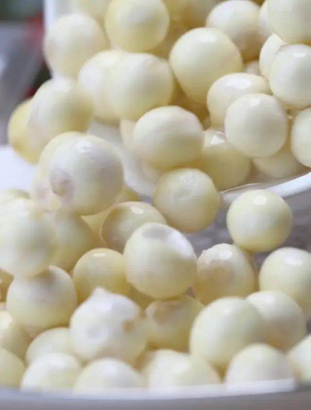 【潮汕当季芡实】39.9元8袋!5斤鸡头籽才能剥出1斤鸡头米!粒粒如珍珠,