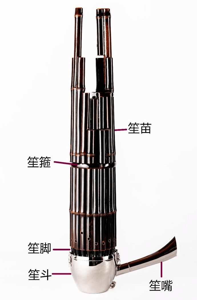 听!中国之“笙”_乐器_答案_传统
