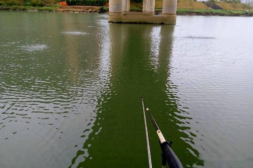夏天野钓,3种位置全天"藏"大鱼,可钓白天也可夜钓_活水_水面_天气