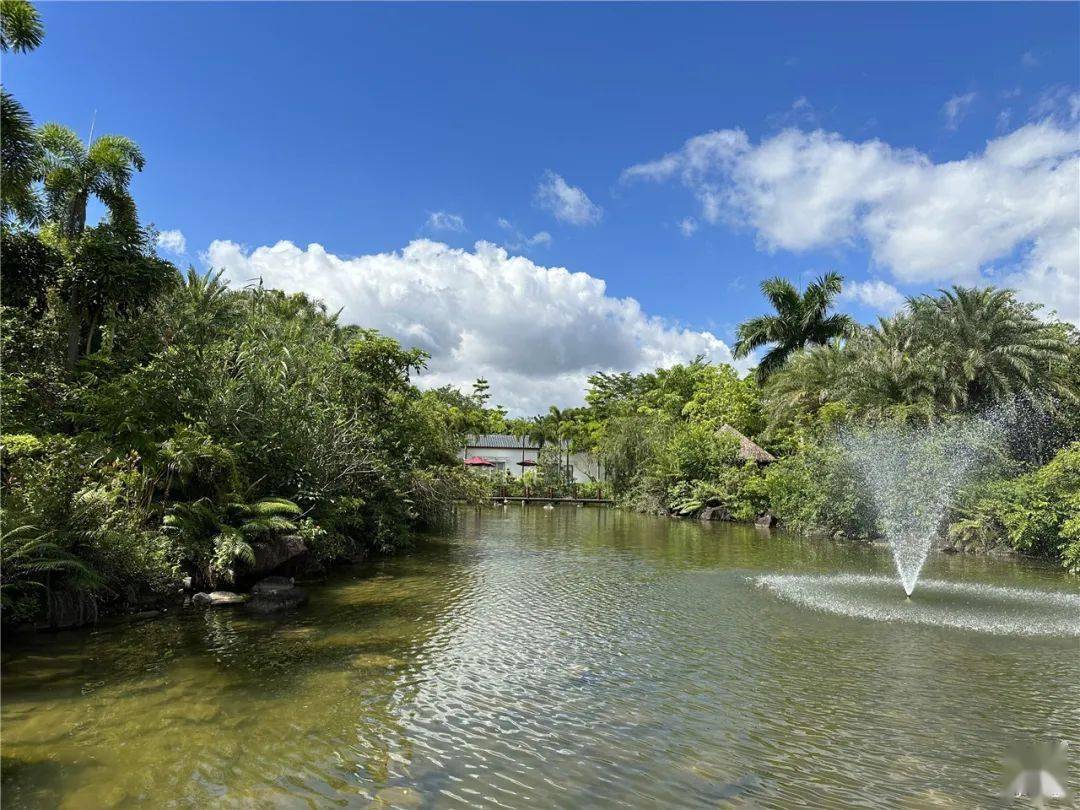 【实拍亲测】599元入住水底山温泉庄园,冲浪 温泉 108米无边泳池随意