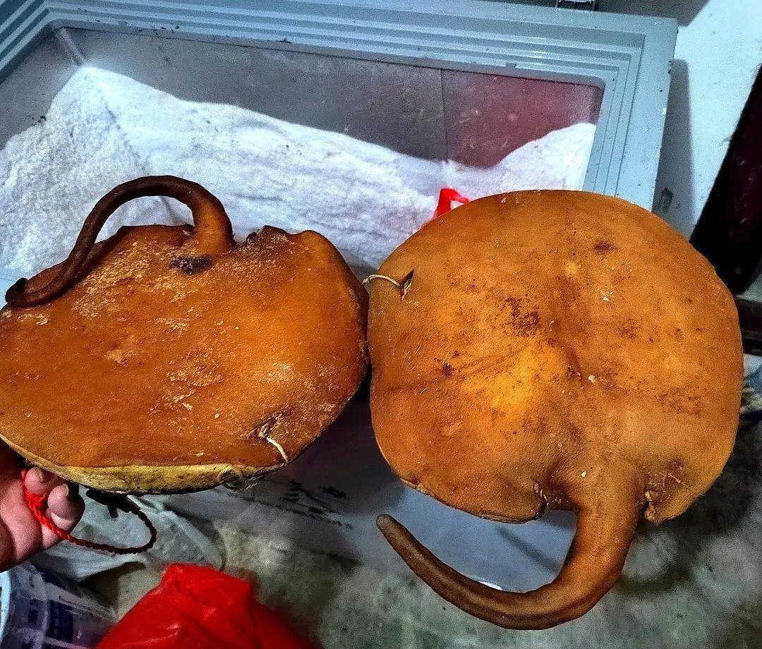 炉桥桥尾——中华美食一绝丨520安徽文旅惠民消费季_卜善勇_球友_乒乓